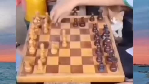 These Two Just Unlocked A different Level Chess