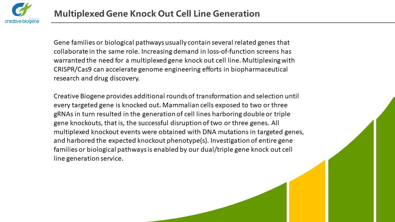 Knockout Stable Cell Lines