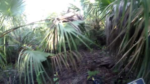 Location of Treasure Map - Part 2