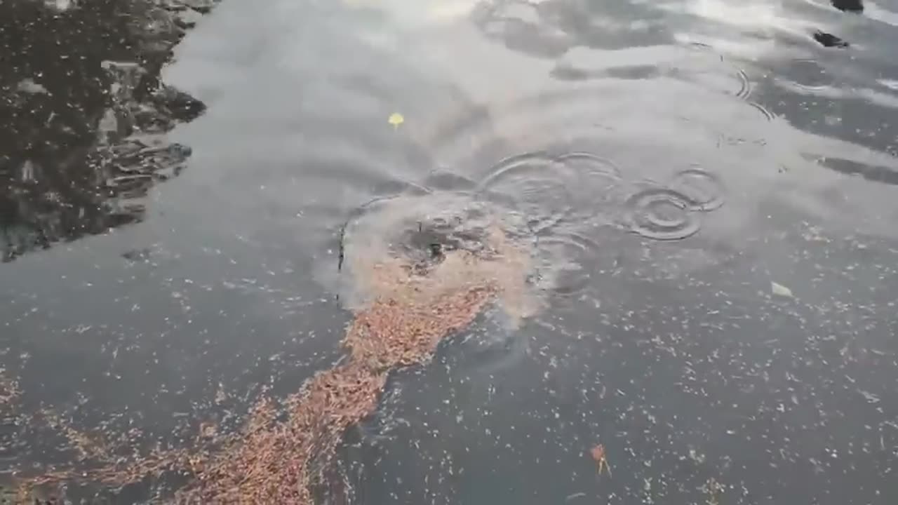 They Drained This 200 Year Old Canal. What They Found at the Bottom Was Incredible