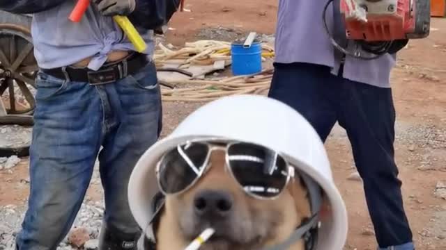 I'm going back to Thailand tomorrow. Just tell my brothers what to do on the construction site