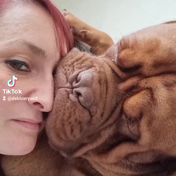 Only trust someone who loves dogs