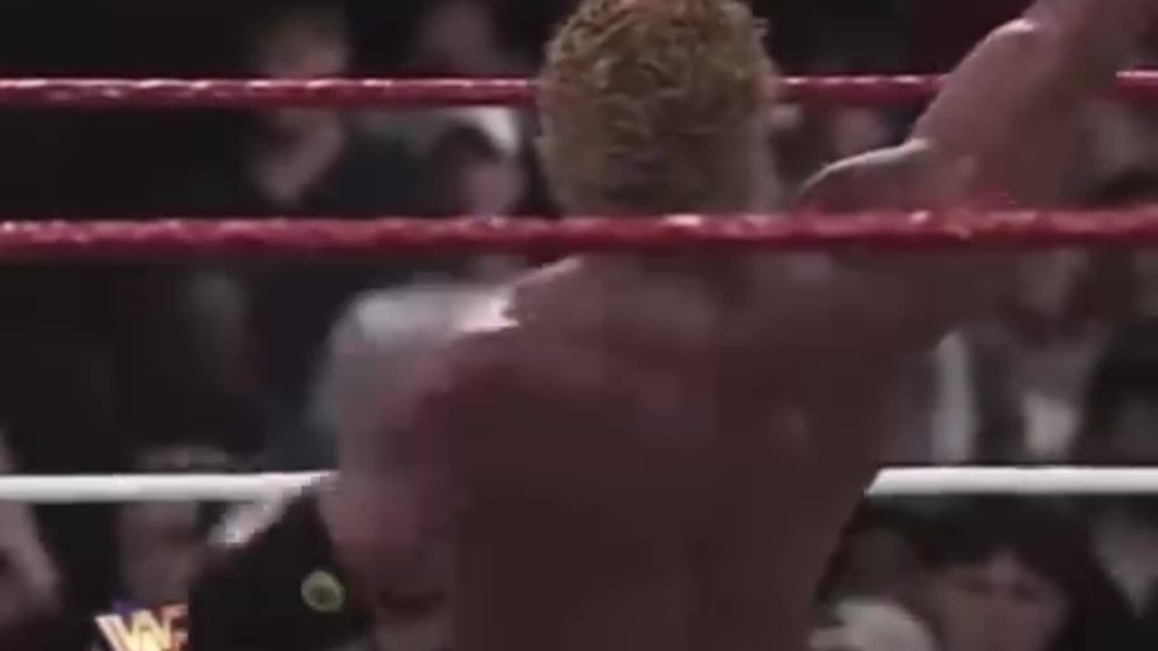 Sid Vicious vs British Bulldog