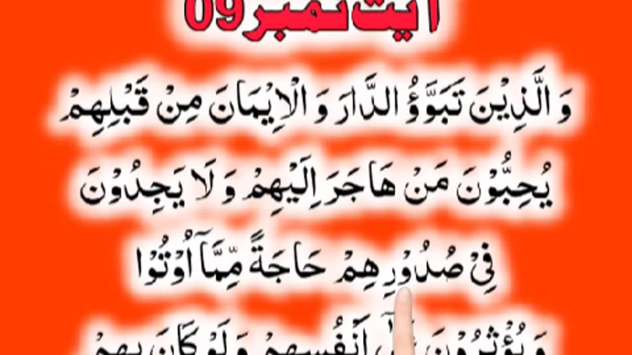 Al-Quran - Surah 59 - Al-Hashr - Ayah 9 | islamic videos status | tilawat | hafiz salman ali