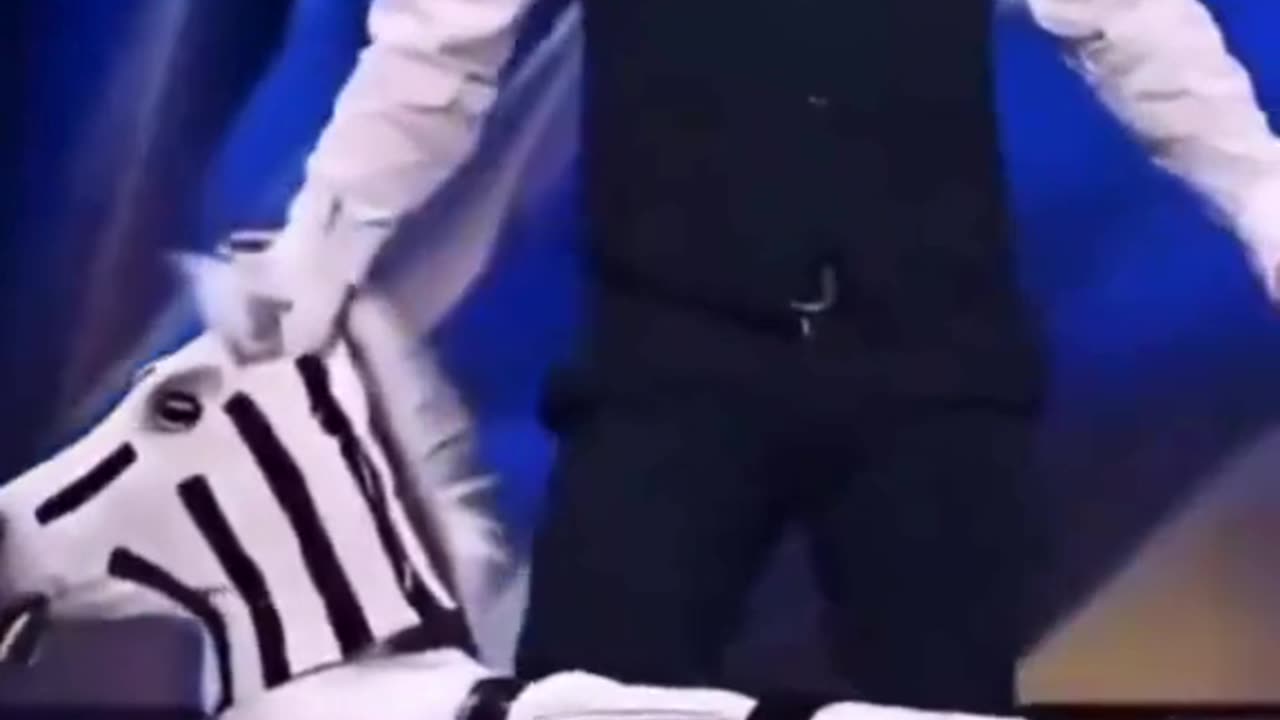 Man Turns into a Zebra on AGT—Magic or Witchcraft?! 🦓🎩