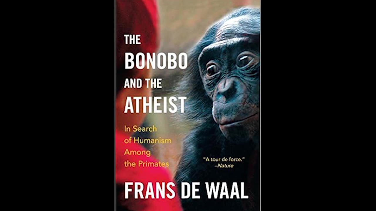 the bonobo and the atheist - part 3