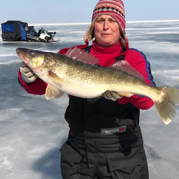 Big Hen Walleye release