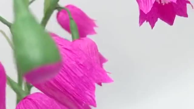 Linglan flower language is happiness, you know?