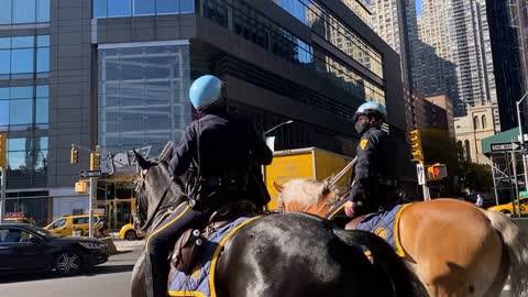 NYPD Police Officers on horseback wade into traffic New York City