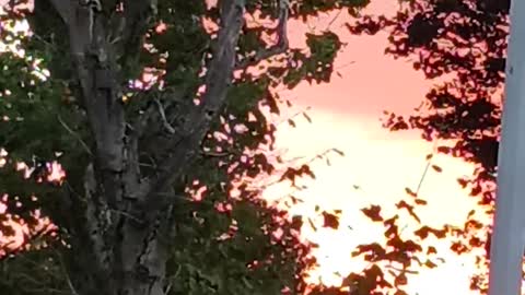 Sunset video