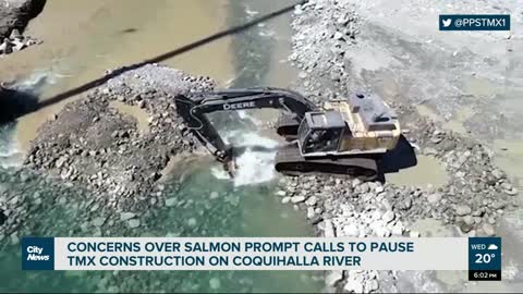 Concerns raised about TMX work during salmon spawn