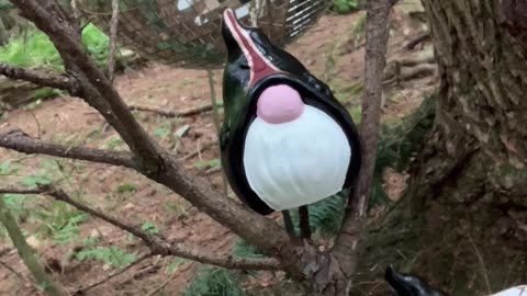 Morrigan’s in the Early Morning Rain