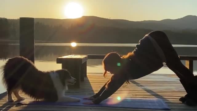 My dog every morning rutin yoga video 2022