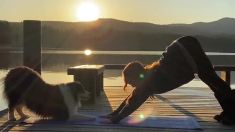 My dog every morning rutin yoga video 2022