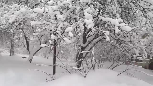 avalanche that took place on Mt. Elbrus in Russia. Check out this insane footage!