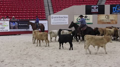 PCCHA cutting horse championship at Southpoint on October 6, 2018.