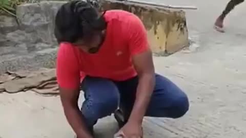 Third World Animal Control