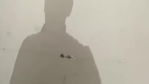 Devo Ke Dev Mahadev · Akki Kalyan