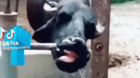 World best water pump