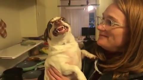 Mr.Bubz Being Angry Boi cute