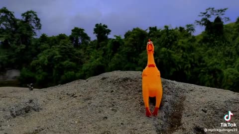Funny Rubber Chicken singing