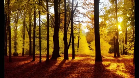 Golden Forest