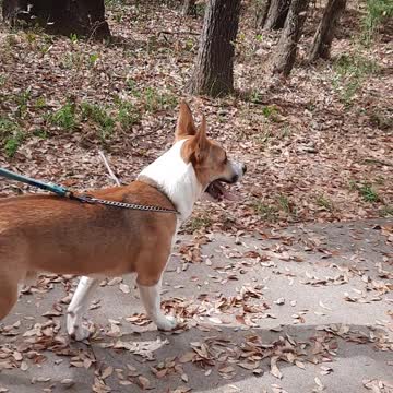Claire Bear and Tucker Carlson At The State Park
