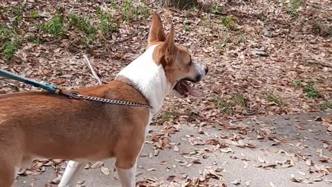 Claire Bear and Tucker Carlson At The State Park