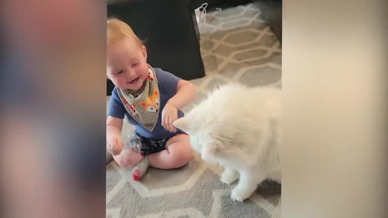 Cutest Babies Play With Dogs And Cats Compilation