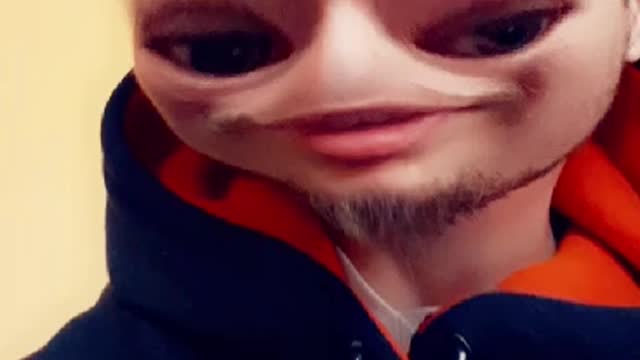 Alien steve