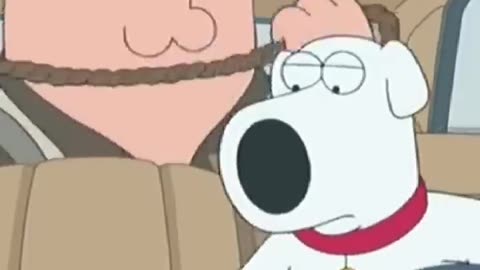 Peter is don #funny #viral #familyguy