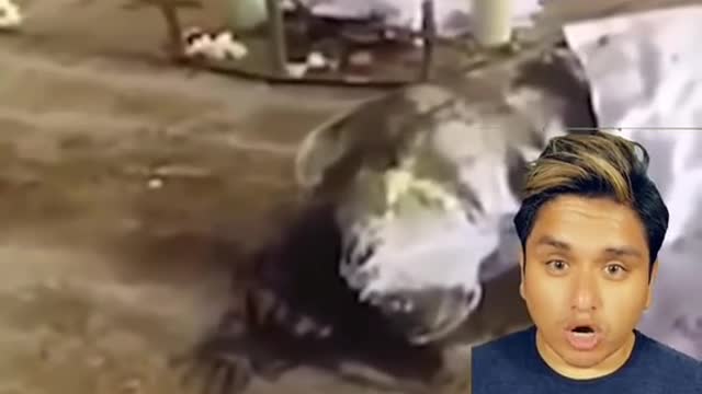#creepy #creatures #goviral #unknown #scary