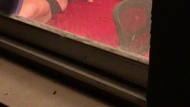 Sneaking a Peek from the window.