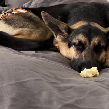 I did not expect her to do this...