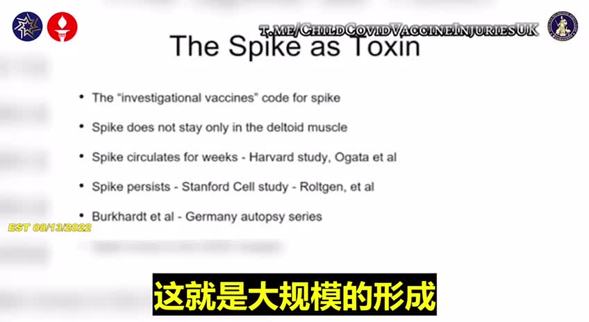 以政治干預、控制醫學，以全方位的謊言掩蓋“真相”_新冠疫苗實驗針劑中的“刺突蛋白”對人體的各種傷害與後遺症，只是“冰山一角”。解毒、解毒、解毒…不可忽視啊！