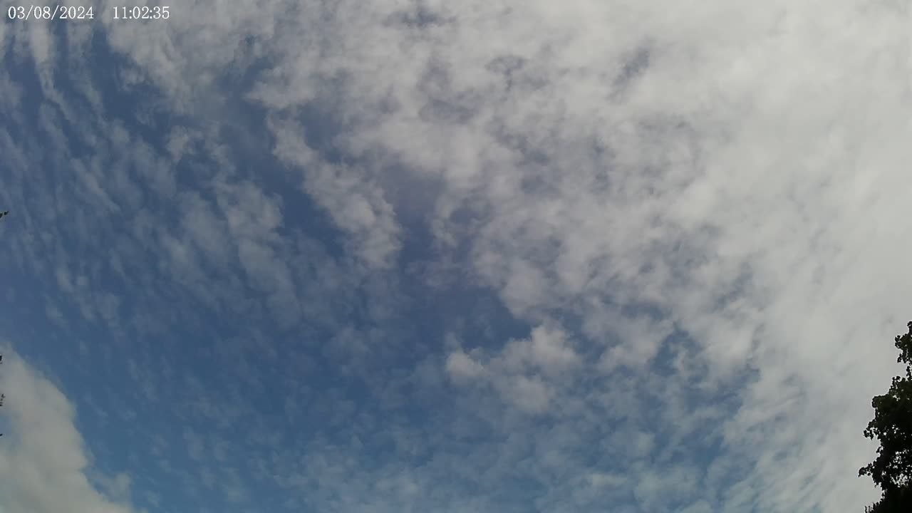 Sky Watch #319 - 3/8/2024 (heavy chemtrails evening)