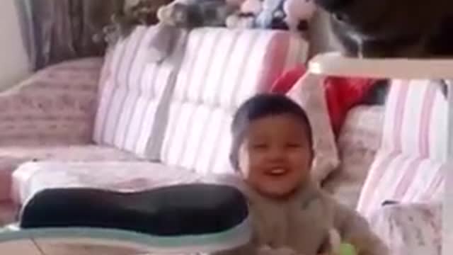 Funny cat and funny babies.