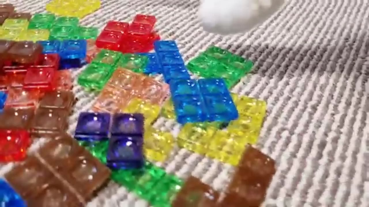 Cat Plays Tetris Himself. Incredible! #kittens #cute #cats #animals #usa