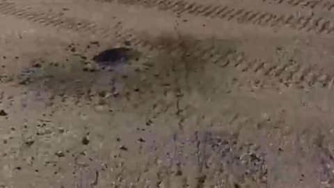 Footage from the Airfield in Luhansk Where 5 Russian Attack Helicopters Were Knocked Out