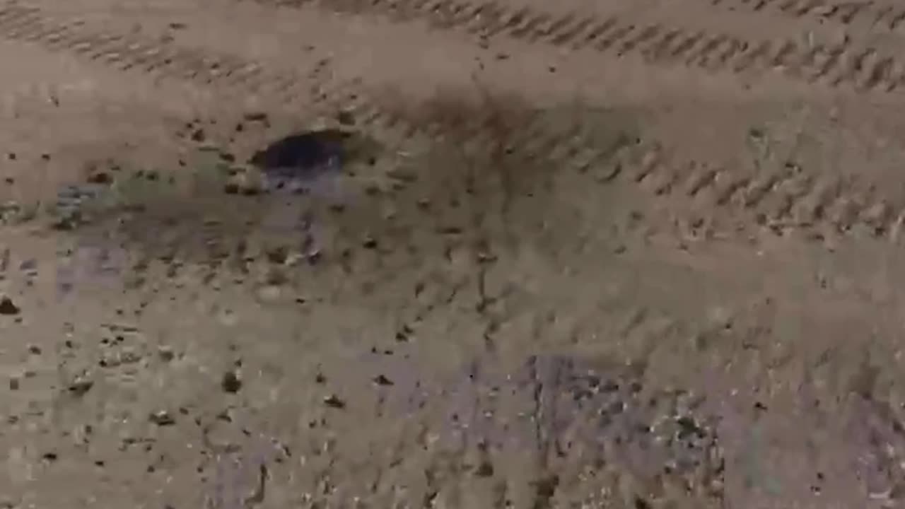 Footage from the Airfield in Luhansk Where 5 Russian Attack Helicopters Were Knocked Out