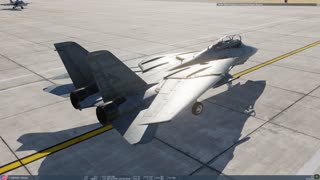 DCS Starting up the F-14B