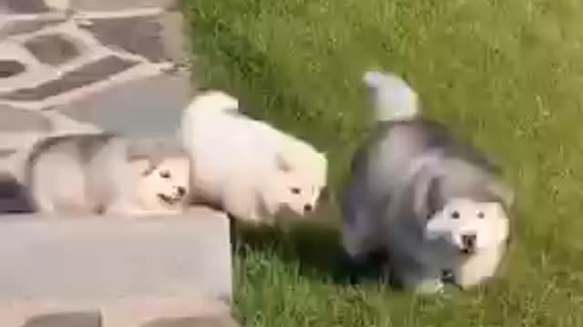 Omg