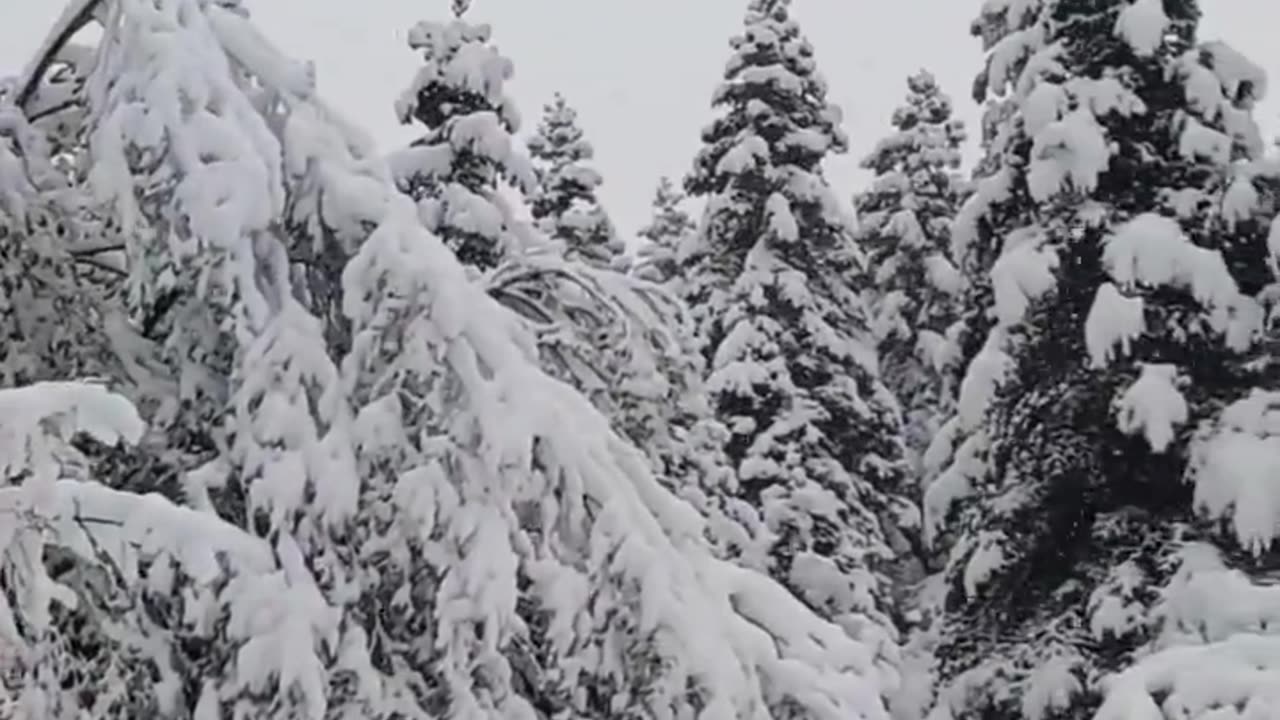 Heavy snowfall in İnebolu of Kastamonu province, Turkey (10/18/2024)