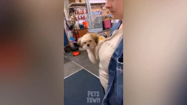 Best PAPPY videos ever 🐕 (Compilation of funny DOG)