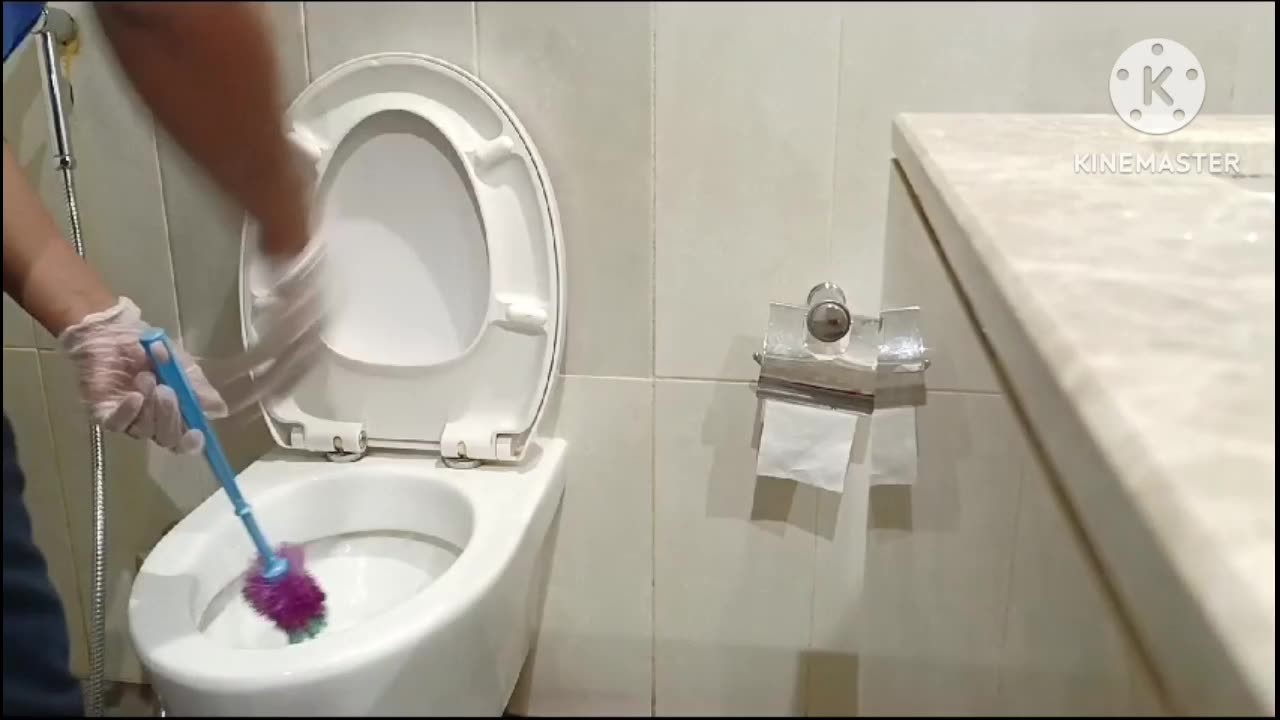 Toilet cleaning video song