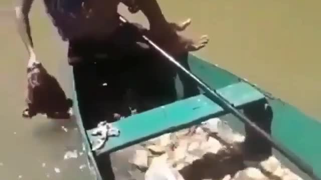 Fishing Piranha The Easy Way In The Amazon Brazil