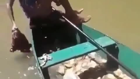 Fishing Piranha The Easy Way In The Amazon Brazil