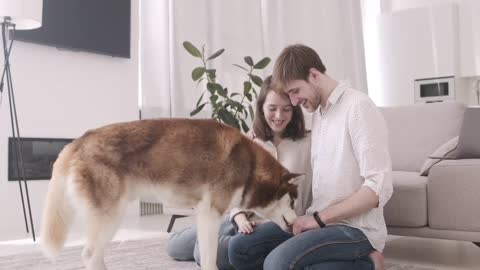 Couple Playing With Their Dogs