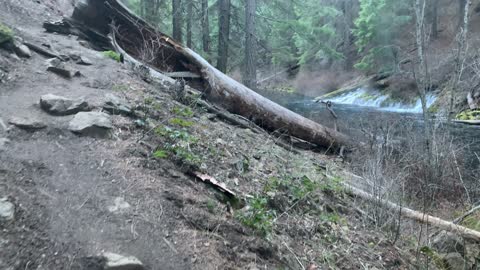 Approach to Waterfall Overlook Section – Metolius River – Central Oregon – 4K