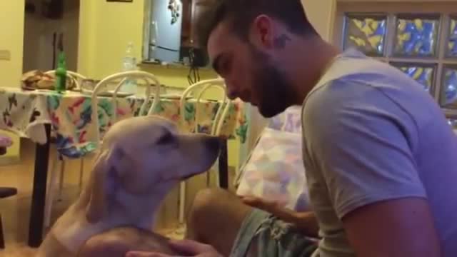 Guilty dog desperately asks for forgiveness